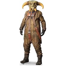 Cardboard People BOOLIO Life Size Cardboard Cutout Standup - Star Wars Episode IX - The Rise of Skywalker 2019 Film