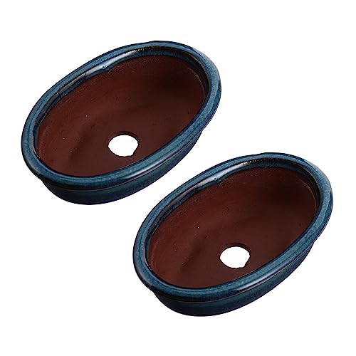 Small Ceramic Bonsai Pot: 2PCS Glazed Bonsai Pots Ceramic Succulent Planter Pot with Drainage Hole