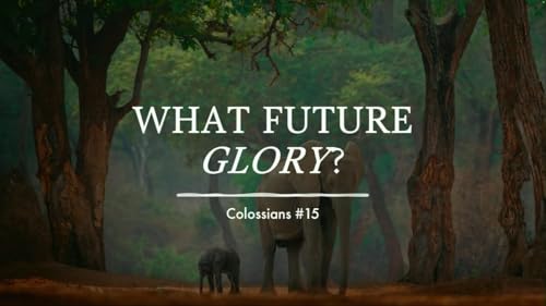 What Future Glory?