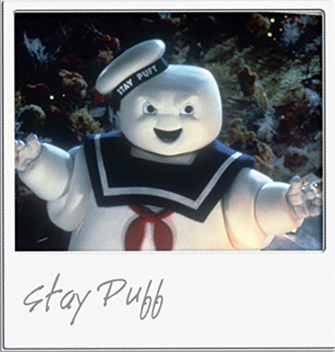 Ghostbusters (Widescreen Edition) #TOP5