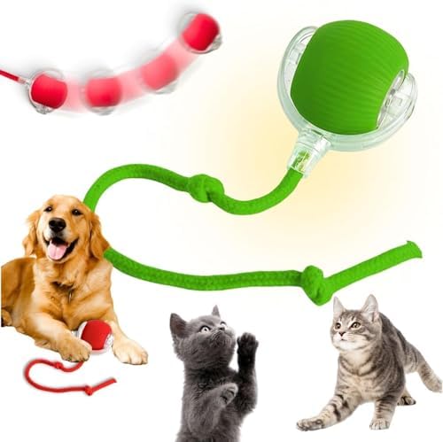 Como Escolher os Brinquedos Perfeitos para seu Cão! 8 Bola Interativa Elétrica para Gatos Recarregável USB-C com Sensor...