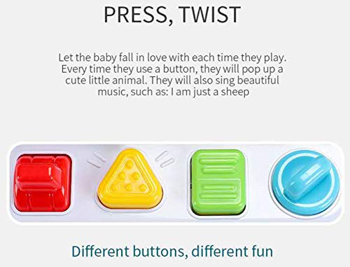Ymdly Toys Animal Park Interactive Pop Up Music Toy,Up- Early Education Activity Center Toy, Ages 12 Months And Up Toddlers. #TOP4