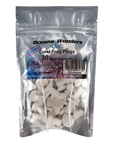 Oceans Wonders Ceramic Natural White Coral Frag Plugs 30 pack