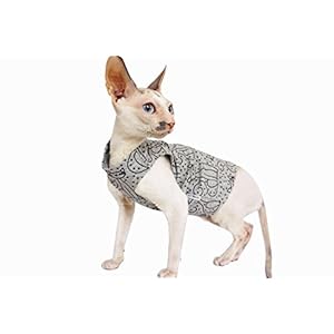 Kotomoda Katzen Kleidung T-Shirt GreyCats (S)