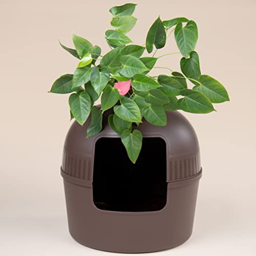 RHRQuality Inodoro para gatos Flower XXL marrón invisible con tapa, 51 x 55 cm Cover