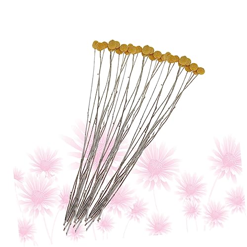 Cabilock 20 piezas flores secas Craspedia para decoración miniatura 7