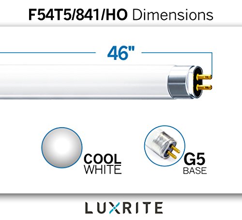 LUXRITE F54T5/841/HO 54W 46 Inch T5 Fluorescent Tube Light Bulb, 4100K Cool White, 4200 Lumens, G5 Mini Bi-Pin Base, LR20770, 6-Pack - Thumbnail 3