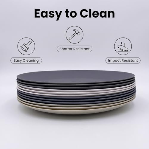 AOYITE Plastic Dinner Plates Reusable, Unbreakable Salad Plates set of 12, BPA Free Microwave & Dishwasher Safe Party Plate for Any Occasion, BBQ, Travel, Events