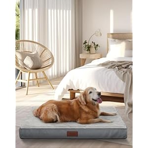 OhGeni 35 Inch Orthopedic Waterproof & Machine Washable Dog Bed for Medium Large Pets, 20D Egg Crate Foam Stable Support, Non-Slip Bottom and Removable Cover, Tear-Resistant Invisible Zipper(Gray)