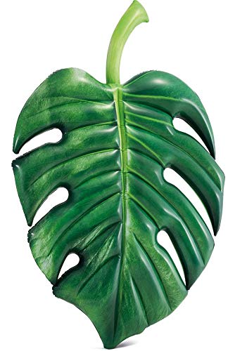 ぽんこページ Amazon | INTEX(インテックス) 浮き輪 フロート マット プラムリーフ