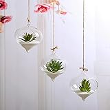 Regalo ideal: el jarrón de diseño sencillo y elegante hace que sea un regalo perfecto para amigos y familiares. Regalos de Navidad, bodas, despedidas de soltera y todas las opciones de regalo de vacaciones.