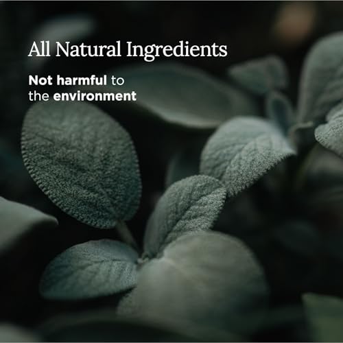 Magnificent 101 Long Lasting Pure Sage Candle for Manifestation & House Energy Cleansing - 6 Oz - 35 Hour Burn - Soy Wax Candle with Pure Sage Leaves - Spiritual Gift - Image 3