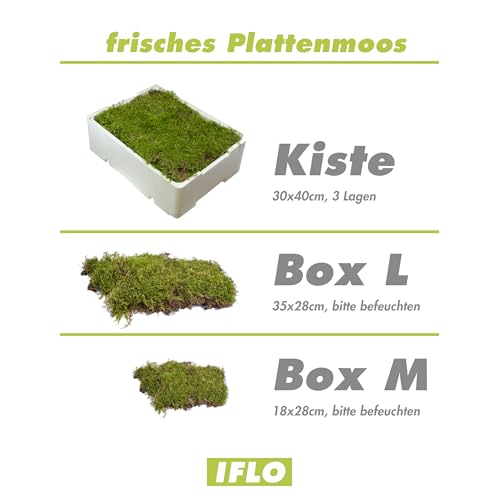 Moos - frisch Natur Platten Moos zum basteln echtes Plattenmoos - Deko Moos für Terrarium deko, Mooswand lebend, Moosbild selber machen, Moos kaufen, Bastel Moos Moosmatte – Bild 4