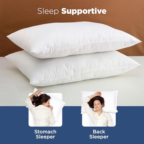 Martex Standard Bed Pillows, Pack of 2, White