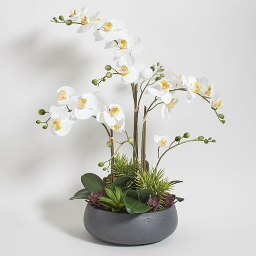 Image of CG Hunter Faux Orchid Plant w /Succulents, Premium Artificial Indoor Flower Display Stands 24 inch w /Beautiful Sculptural Blooms and Succulents That Lasts Forever, Grey Planter Pot Included