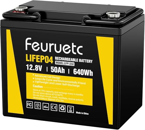 12V 50Ah LiFePO4 Lithium Battery - Built In 50A BMS, 5000+