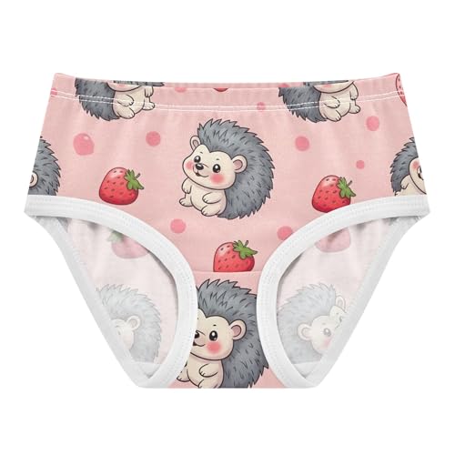 Cotton Girls Underwear Toddlers Cute Cartoon Grey Hedgehogs Pink Panties for Girl Aesthetic Kids Undies Briefs 2t
