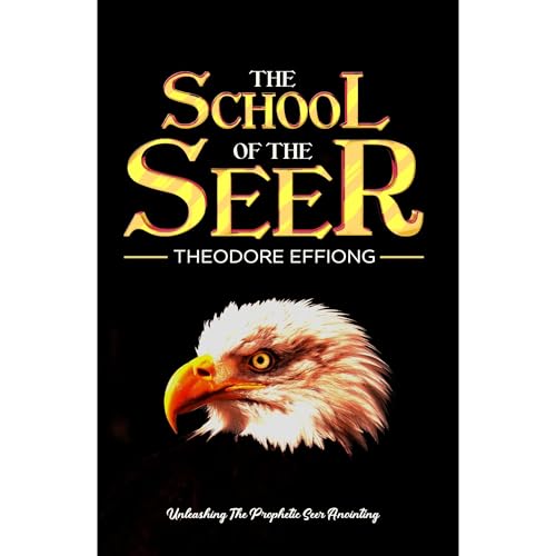 The school of the seer Audiobook By Theodore Effiong cover art