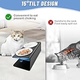Vikcvcsc Katzennapf Erhöht - 2X Fressnapf Katze aus Keramik mit Metall Ständer - Futterstation Katzen Erhöht - Katzen Napfset für Katzen Hunde Welpe Futter und Wasser