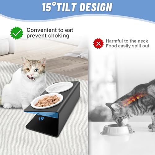 Vikcvcsc Katzennapf Erhöht - 2X Fressnapf Katze aus Keramik mit Metall Ständer - Futterstation Katzen Erhöht - Katzen Napfset für Katzen Hunde Welpe Futter und Wasser