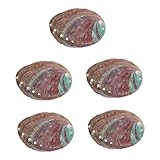 Abalone shell for smudging:make your fish tank look closer to nature, and play a certain decorative role at the same time,abalone shell for burning