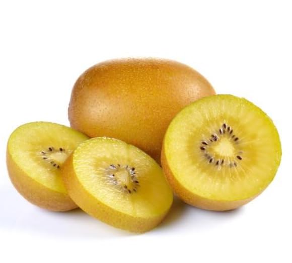 Actinidia deliciosa 'Golden Kiwi' - Hardy Plant in 15 cm Pot Approx 50cm Tall