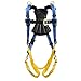 Werner Blue Armor 1000 Retrieval (3 D-Rings) Harness (M/l)