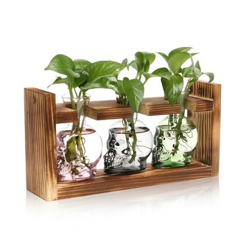 Plant Terrarium Propagation Stations Skull Planter Vase Skulls Decor