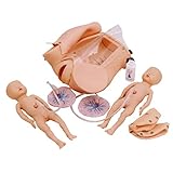 YZDKJDZ Übungspuppen-Lehrmodell Fortgeschrittener Geburtslehre-Simulator-Modell Hebammen-Übungspuppe Für Wehen, Schwangere Und Baby-Modell