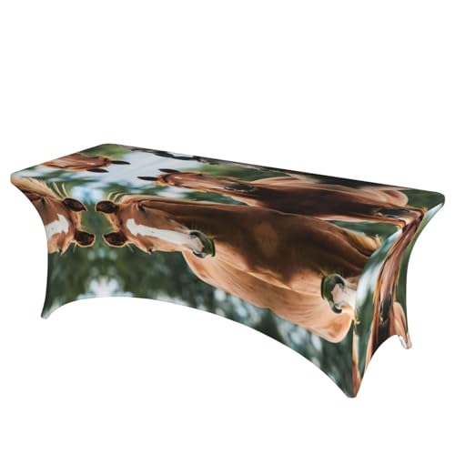 Nappe de table extensible chevaux pour protéger et décorer vos banquets