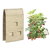 HANG & GROW Burlap Saddle Bag – 6 Holes (3 Each Side, 2" Wide) with 10 Everbearing Strawberries – Perfect Hanging Strawberry Grow Bag for Easy Planting