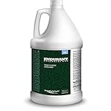 Endurant Lawn Paint Concentrated Green Grass Paint for Lawn and Fairway Treats up to 10K Square Feet of Dry or Patchy Lawn – Pet Friendly Eco-Friendly Lawn Spray Paint, Grass Dye for Lawn