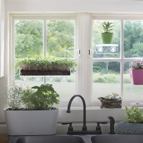 Image of Window Garden Veg Ledge Suction Cup Window Shelf - Create an Indoor Garden, Hold Your Planter Pots, Seed Starter, Figurines on Your Window. Grow Herbs, Microgreens, Succulents, Sleek (2 Pack)