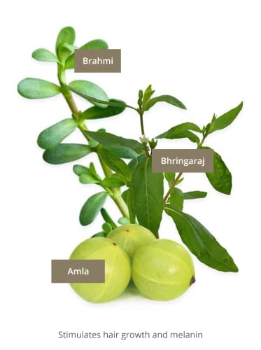 Khadi Strong Amla Hair Oil, 100% Natural, Herbal, Vegan, Promotes Hair Growth, Prevents Hair Loss & Gray Hair, Strengthens Hair Roots, Silicone-Free, Ayurvedic Hair Care, Organic Natural Beauty 1.69Oz #TOP3
