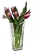 Price comparison product image Bormioli Rocco Italian glass Vinciana flower vase