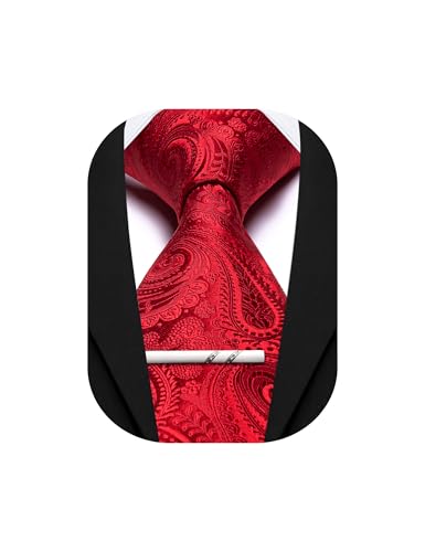 Image of Barry.Wang Paisley Tie for Men Silk Woven Necktie and Tie Clip Set Wedding Party Business Formal