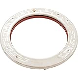 Pentair 600095 Stainless Steel Face Ring Assembly Replacement IntelliBrite White LED Pool Light