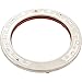 Pentair 600095 Stainless Steel Face Ring Assembly Replacement IntelliBrite White LED Pool Light