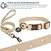 Wisedog Hundehalsband und Leine Set Combo: Einstellbare langlebige Haustier Halsbänder mit Hundeleinen für kleine mittlere große Hunde, enthält einen Bonus von Poop Bag Holder (S, Beige)