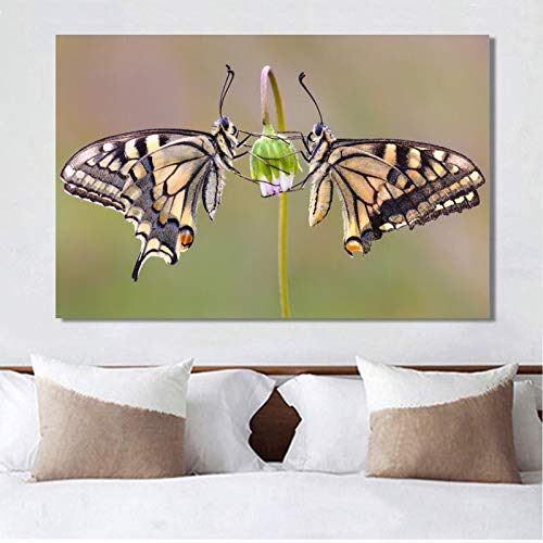 Wehoiweh Affiches Et Estampes Art Mural Peinture sur Toile Papillon Cueillant des Fleurs Images Décoratives sur Le Mur pour Salon (40x60cm) 16"X24 sans Cadre Cover