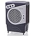 Honeywell 1540-2471 CFM Outdoor Portable Evaporative Cooler with Triple-Sided Honeycomb Cooling Pad, CO60PM, Gray