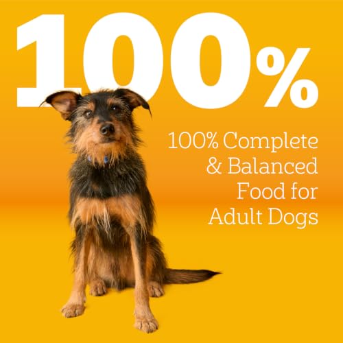 Image of Pedigree Adult Dry Dog Food, Complete Nutrition, Grilled Steak & Vegetable Flavor, 30 lb. Bag