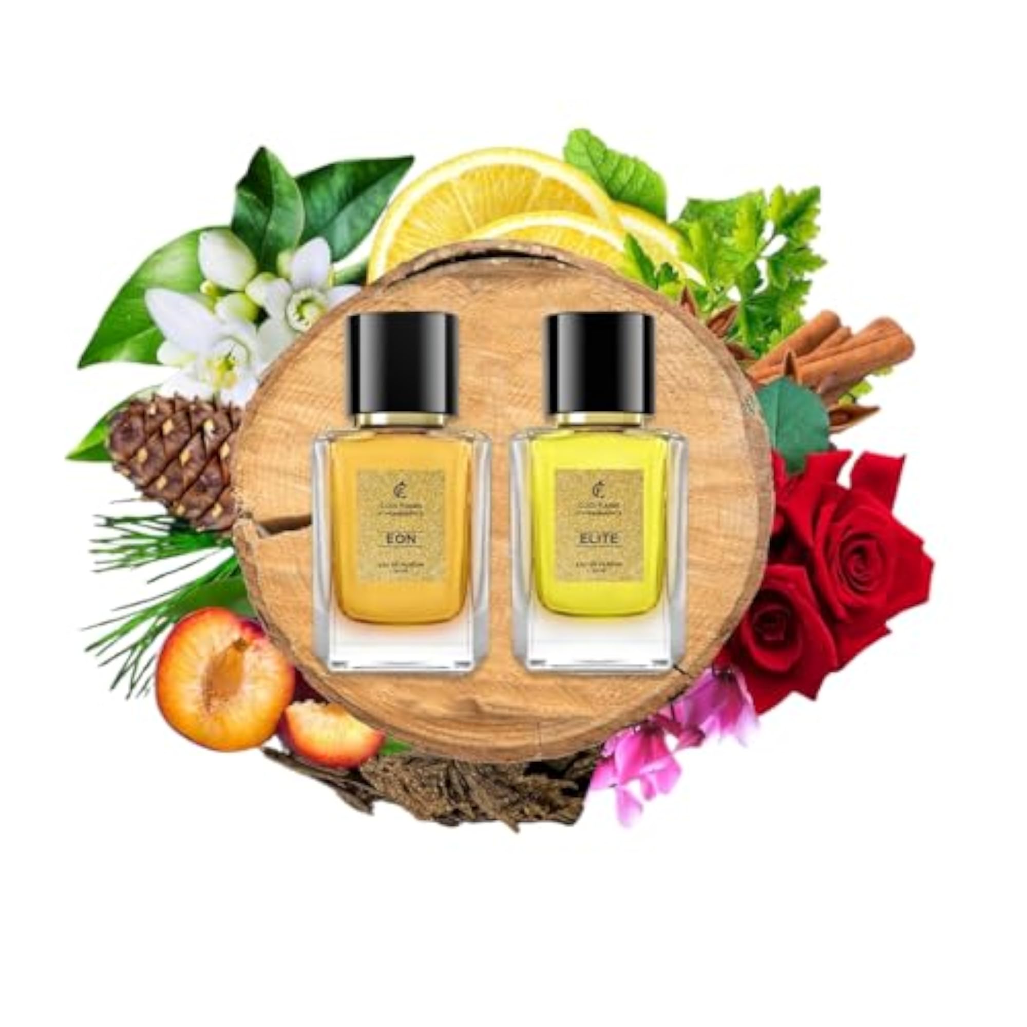 Queen Women's Premium Perfume Gift Set, Pack of 2