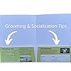 Groomers Margins Puppy Information Folders (10 Pack) - New Puppy Essentials and Dog Health Supplies for Breeders, Veterinarians, and Shelters - A Dog Owner Must Have #1