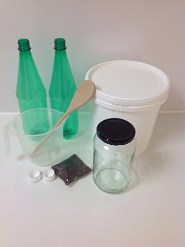 HappyKombuchaltd - Kit de fermentación de cerveza de jengibre