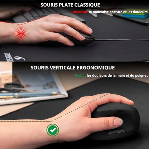 Souris ergonomique filaire USB 6 boutons Bluestork pour PC et Mac