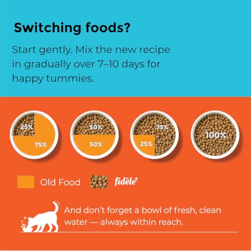 Image of Fidele+ Small & Medium Puppy Food | 900g | Nutrient Rich Growth | Immunity & Digestion Support | Real Chicken | Natural Herb Mix