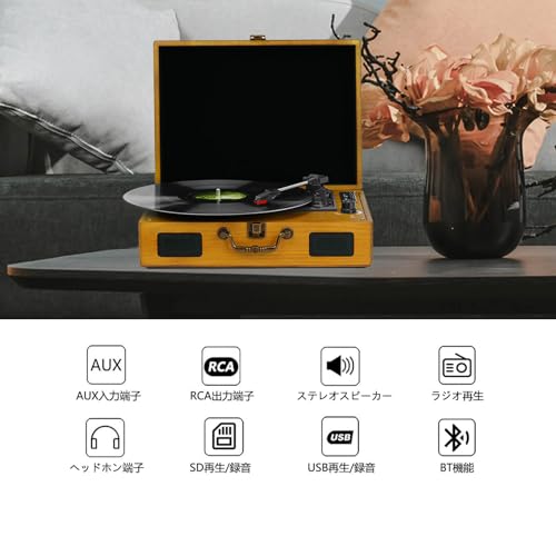 D&L SOUL マルチレコードプレーヤー 636DP の商品画像 1