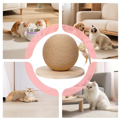 Rascador bola para gatos de interior ideal para jugar cazar y trepar sin dañar los sofás 5