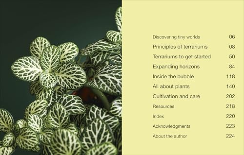 Hello Tiny World: An Enchanting Journey into the World of Creating Terrariums - Image 2